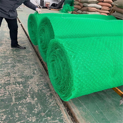 生態(tài)護(hù)坡植被網(wǎng)防沖刷，4層起泡網(wǎng)格 草籽噴播植被網(wǎng)